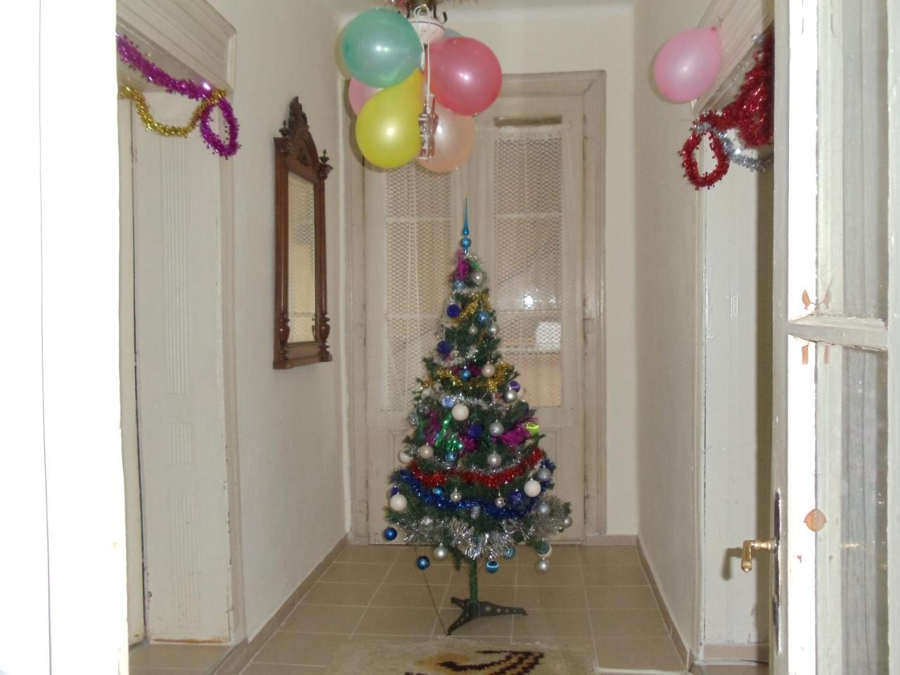 Kaktus Villa Kaluderovo Dış mekan fotoğraf